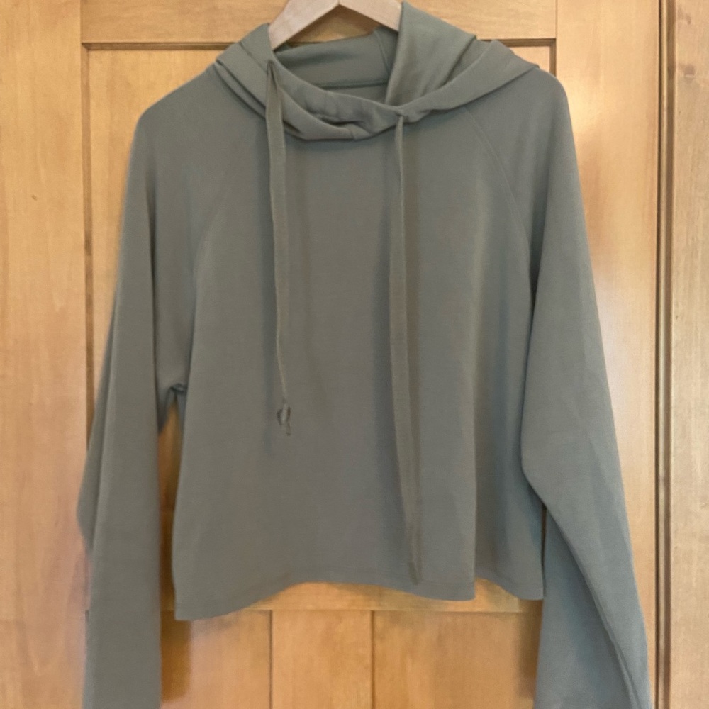 Olive Joy Lab sweatshirt